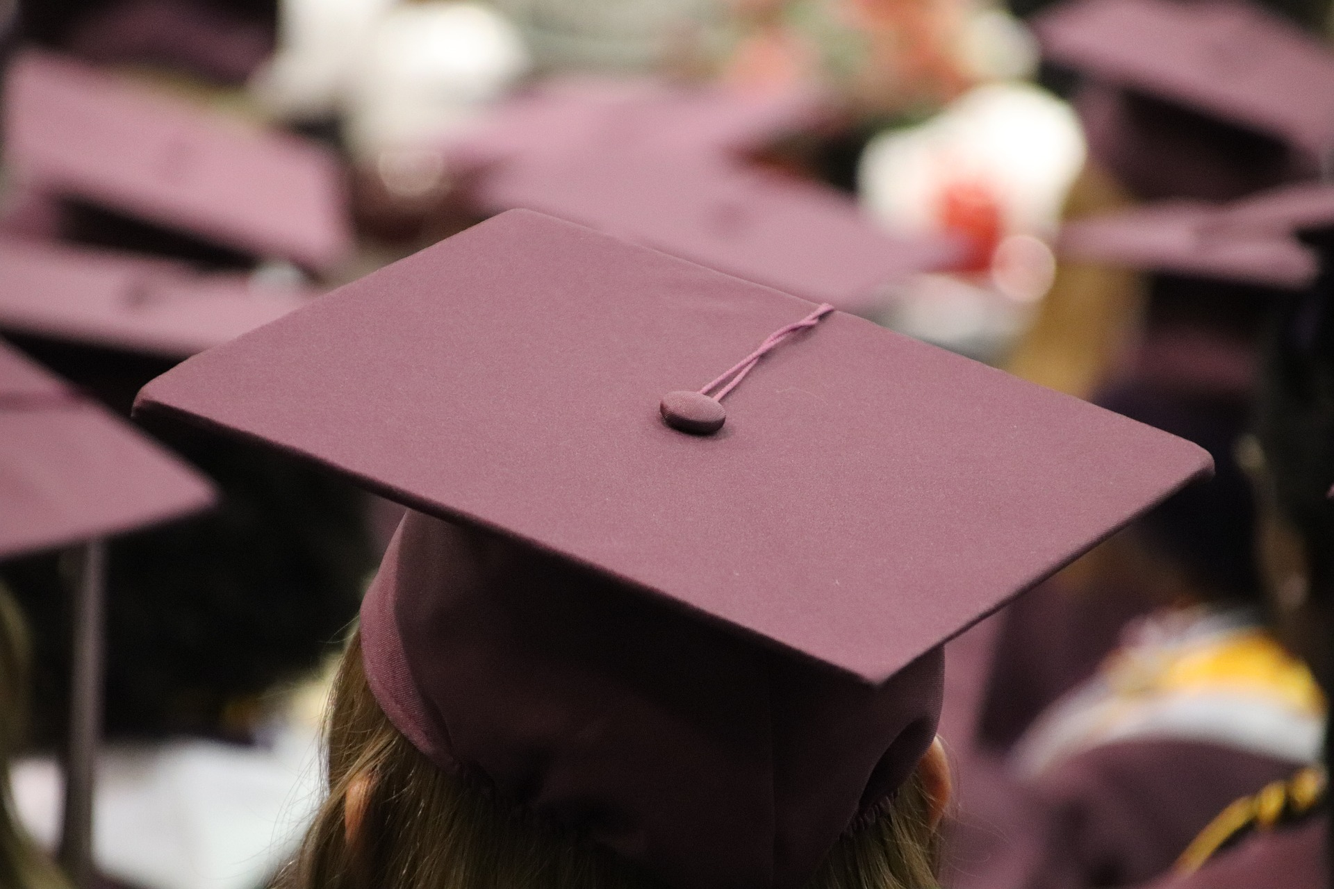 Postgraduate Student Loans